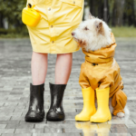 Pet Foot Care Products