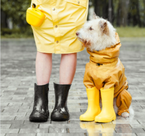 Pet Foot Care Products