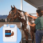 Ultra-Hydrating Shampoo for Horses - Pet Grooming Products - beian.jxzhizao.com