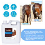 Ultra-Hydrating Shampoo for Horses - Pet Grooming Products - beian.jxzhizao.com
