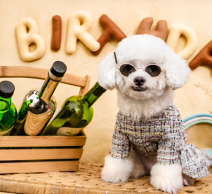 Other Pet Products